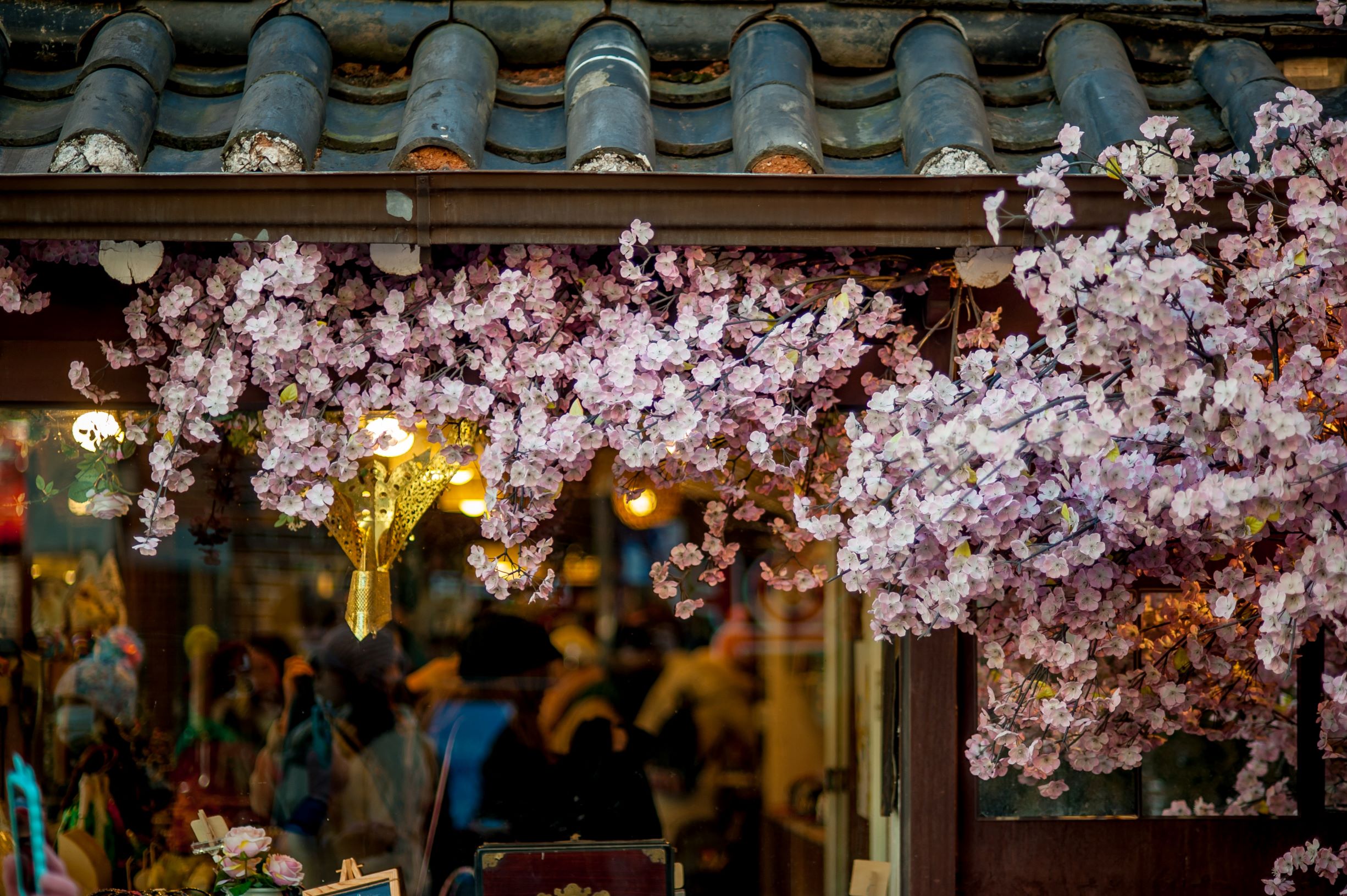 A photo of cherry blossoms in Seoul.